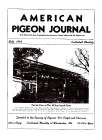 Magazine Cover